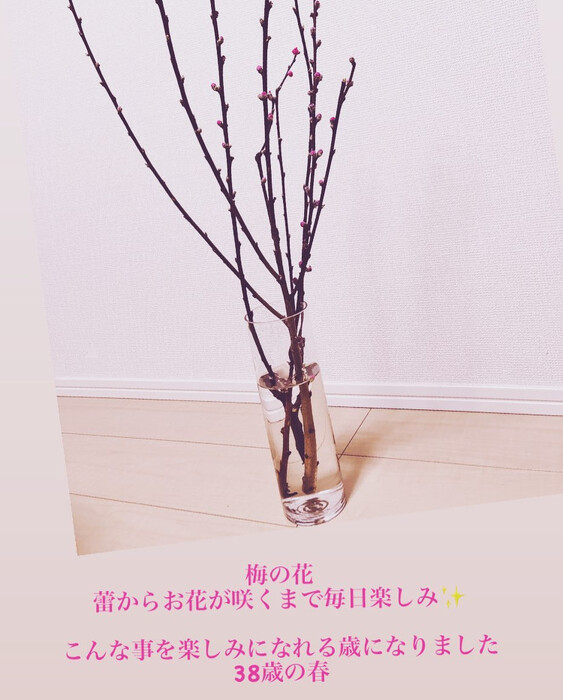 画像244
