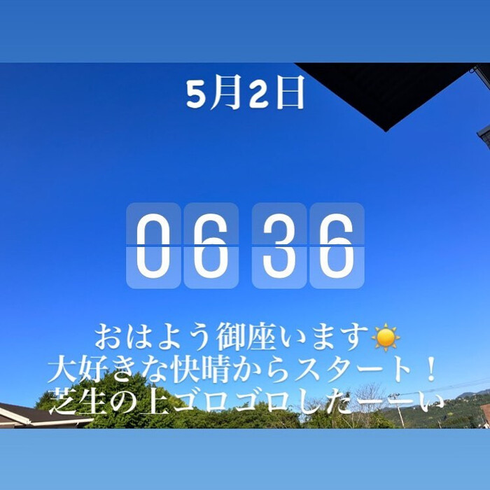 画像273
